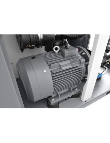 Compresor THEOR cu invertor, putere 75hp