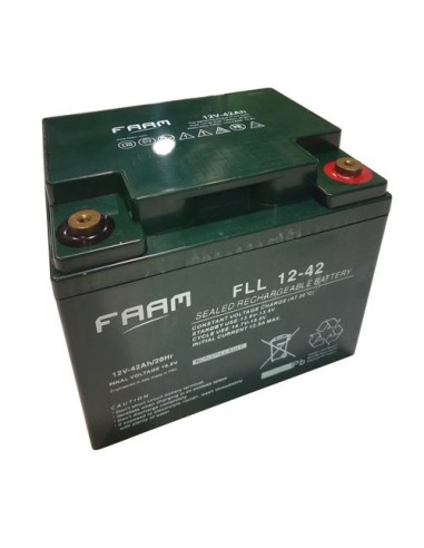 AGM-Batterie 12V 42 Ah0