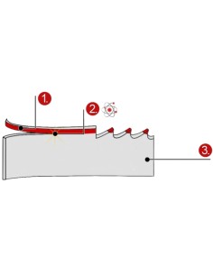 Panza pentru fierastrau cu banda M42 Bi-Metal 2455 x 27,0 x 0,90 mm - 10/14 TPI CORMAK - 2 2