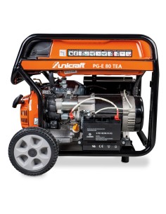 Generator electric PG-E 80 TEA cu infasurari cupru 2