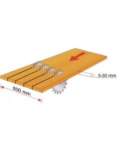 Ferastrau multilama Winter MBS 600 pentru cherestea 2