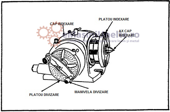 freze metal - cap divizor - emasiniunelte.ro