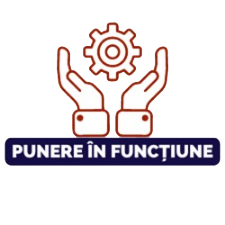 Punere in functiune